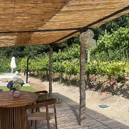 Quinta De Passinhos 빌라 페나피엘