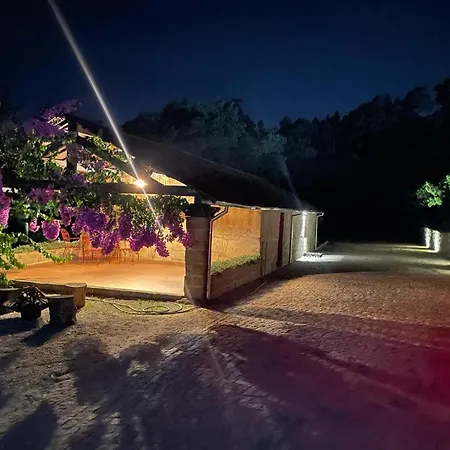 Quinta De Passinhos 빌라 페나피엘