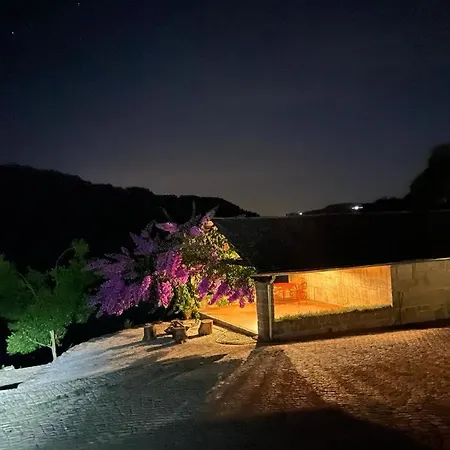 Quinta De Passinhos 빌라 *